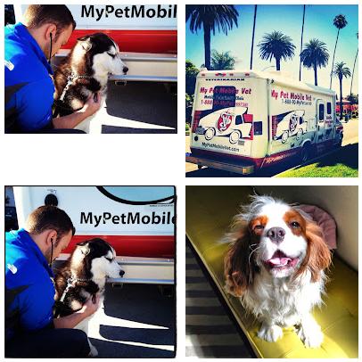 My Pet Mobile Vet