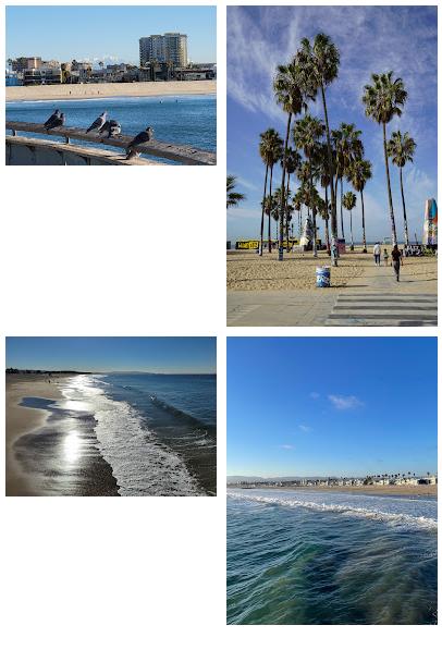 Venice Beach