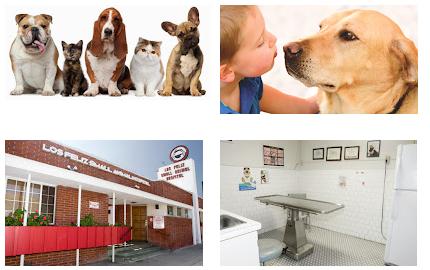 Los Feliz Small Animal Hospital