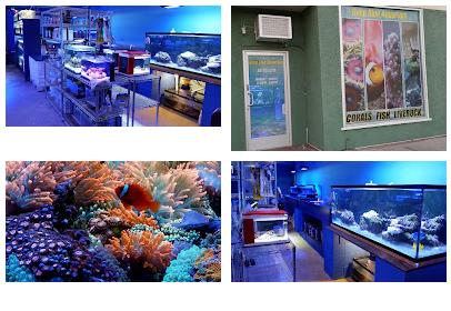 Deep Blue Aquarium