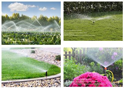 SM Lawn Sprinkler & Irrigation System Repair