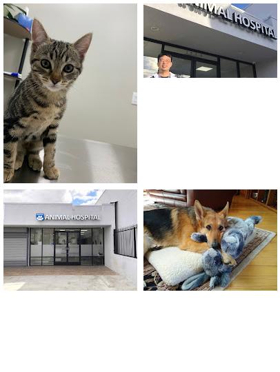 Vermont Animal Hospital