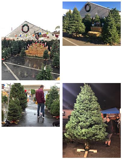 Mount Eagle Christmas Tree Lot