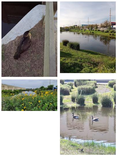 South Los Angeles Wetlands Park