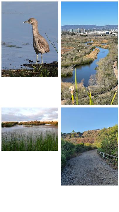 Ballona Freshwater Marsh