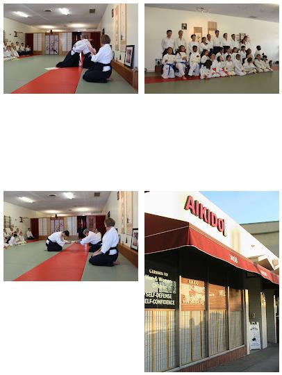 Aikido Cultural Institute