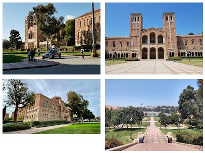 University of California, Los Angeles