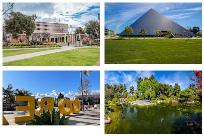 California State University Long Beach