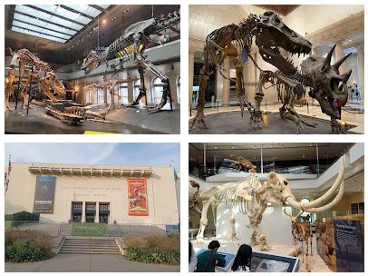 Natural History Museum of Los Angeles County