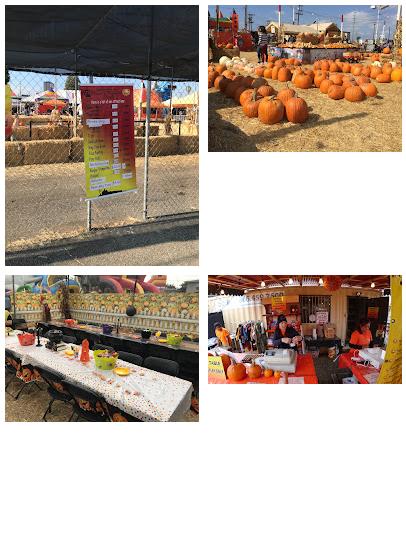 Shawn's Pumpkin Patch