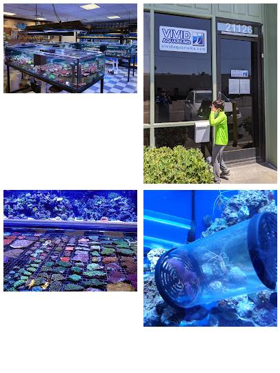 Vivid Aquariums Inc