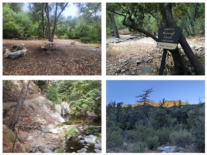 Bear Canyon Campground