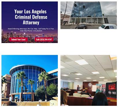 Hurwitz Law Group, Los Angeles Criminal Defense Attorney